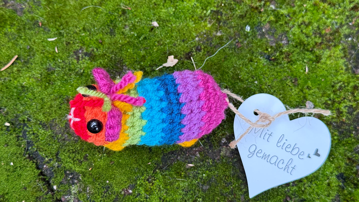 Meerschwein Regenbogen