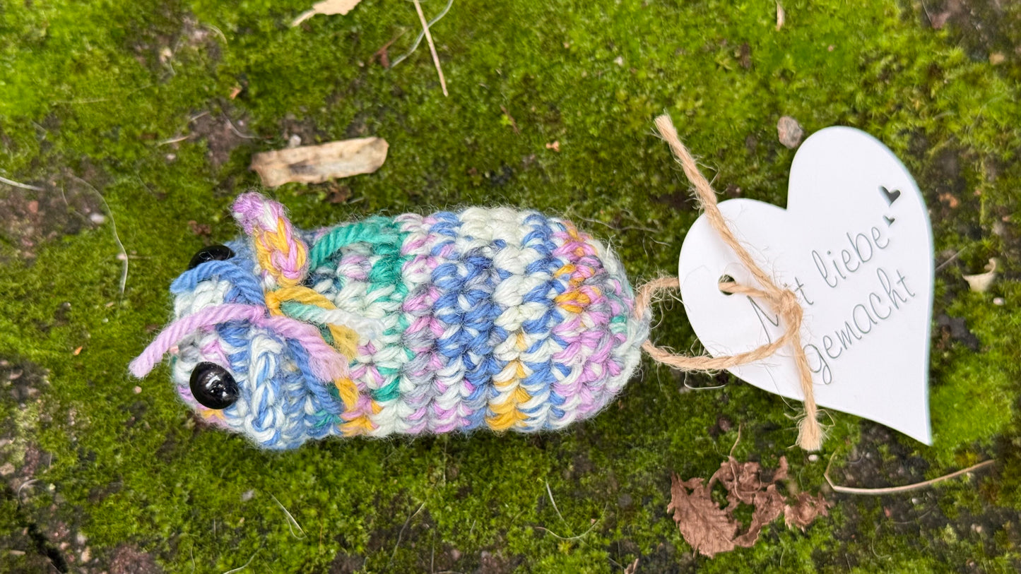 Meerschwein bunt