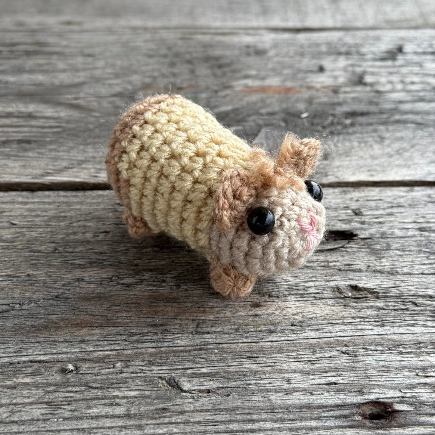 Meerschwein beige-braun