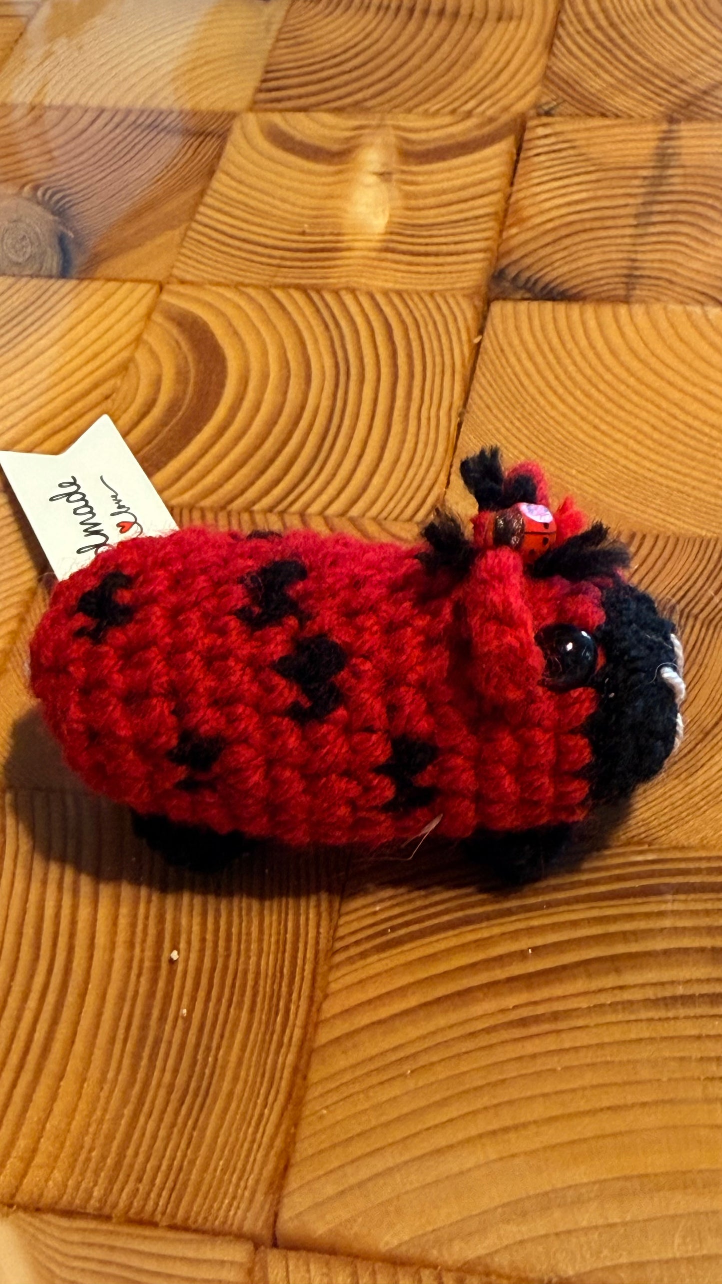 Gehäkeltes Meerschweinchen Marienkäfer | Amigurumi Handarbeit