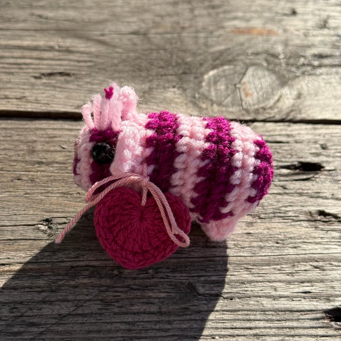 Meerschwein zebra rosa-magenta
