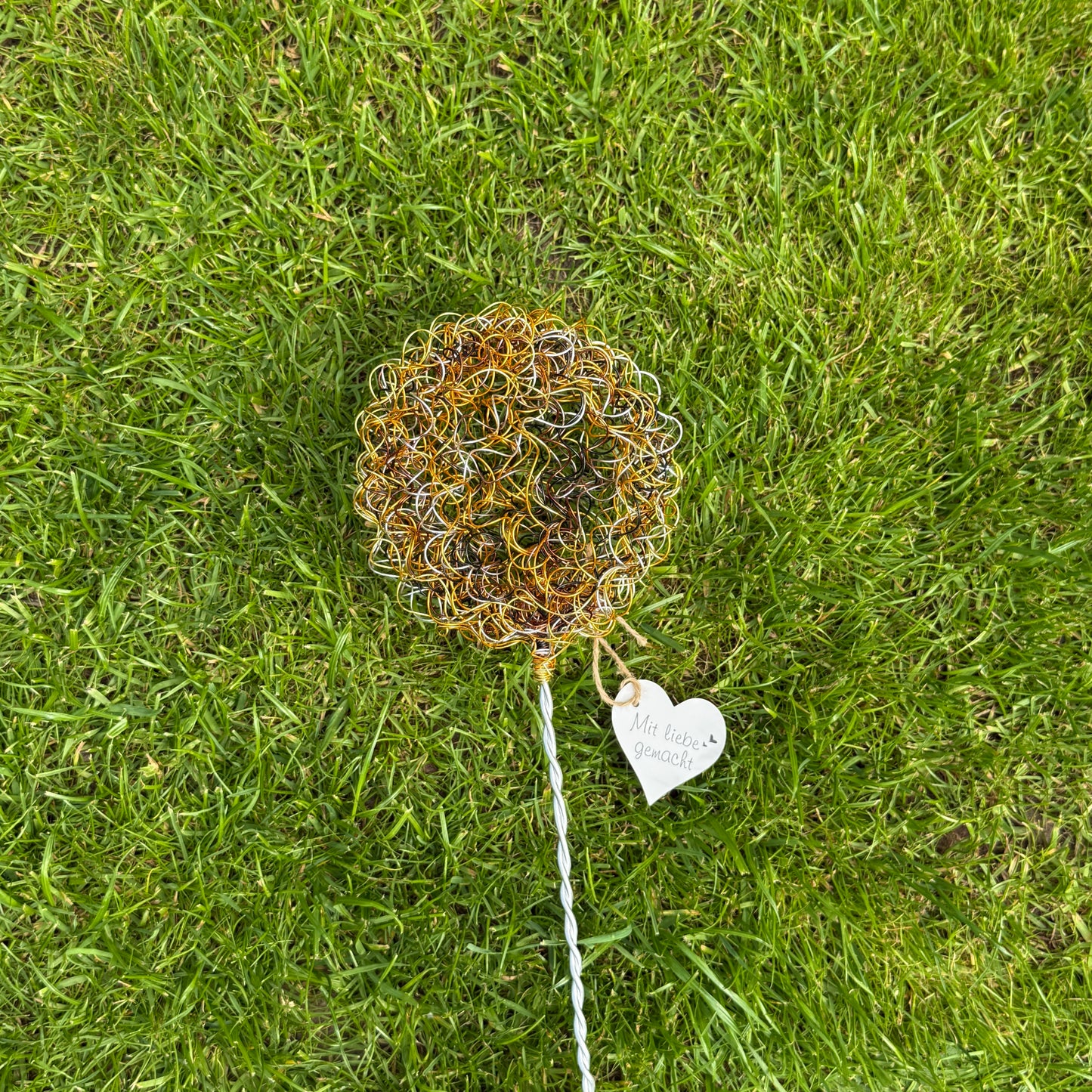 Drahtblüte Allium gold-braun