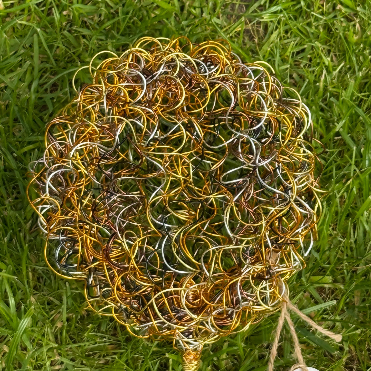 Drahtblüte Allium gold-braun