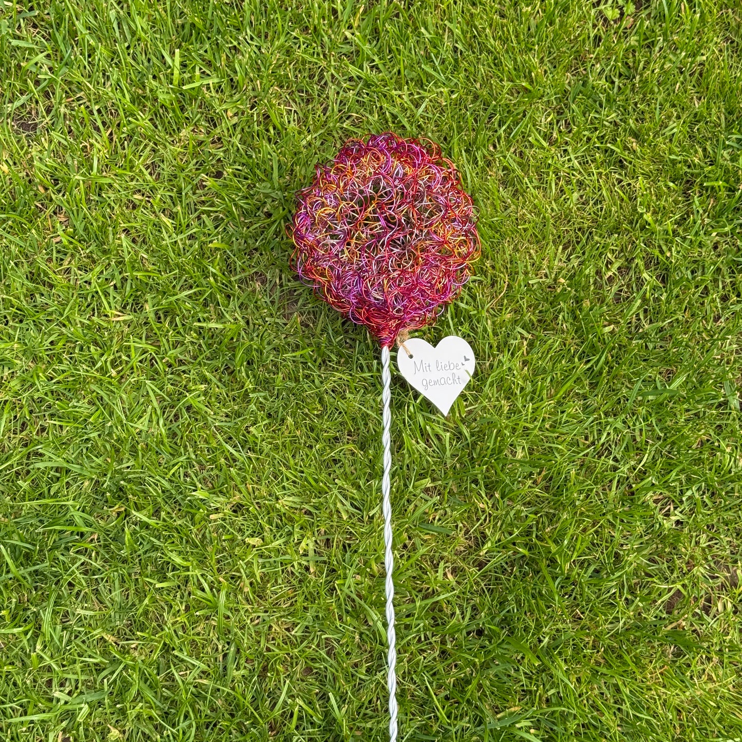 Drahtblüte Allium pink-orange-rosa