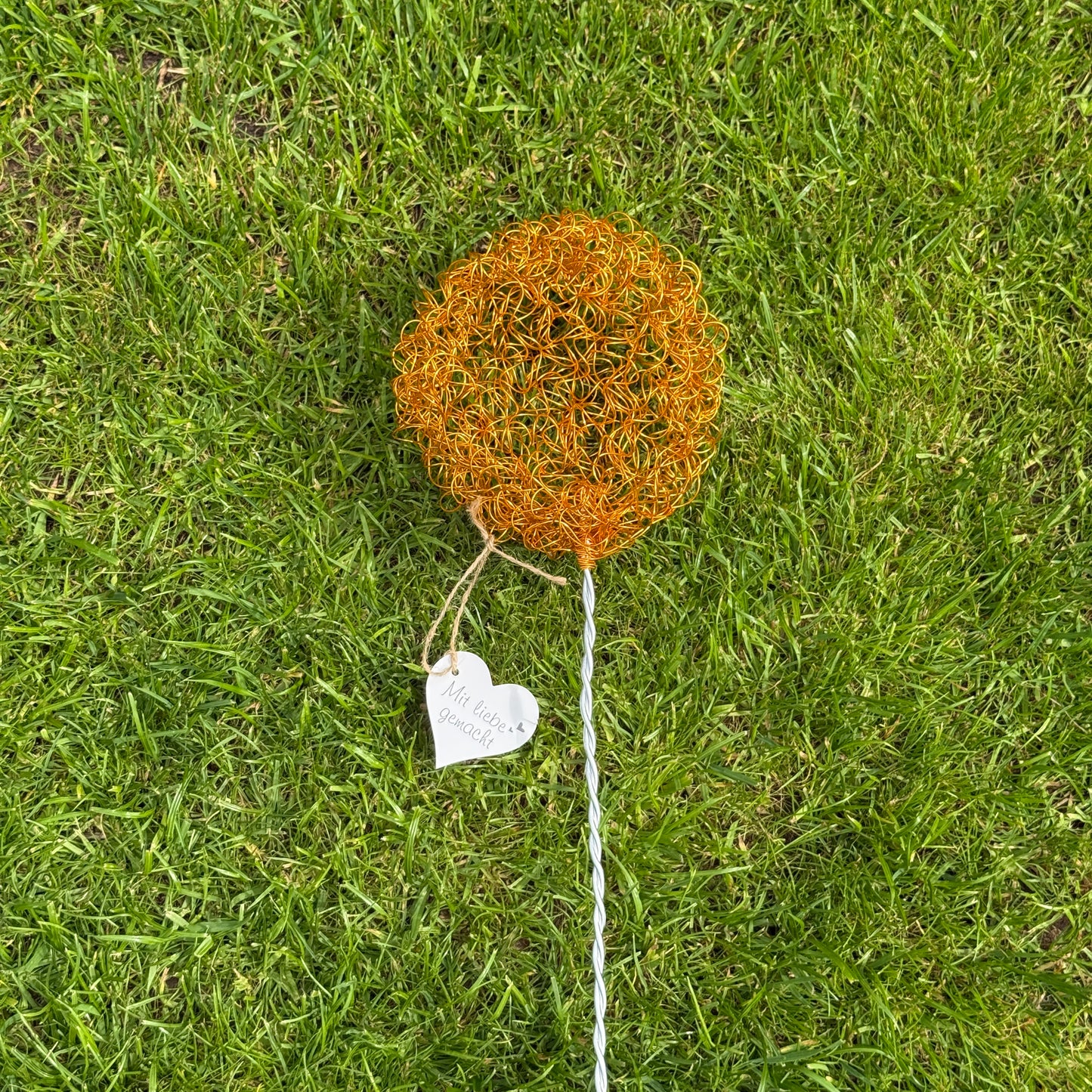 Drahtblüte Allium orange