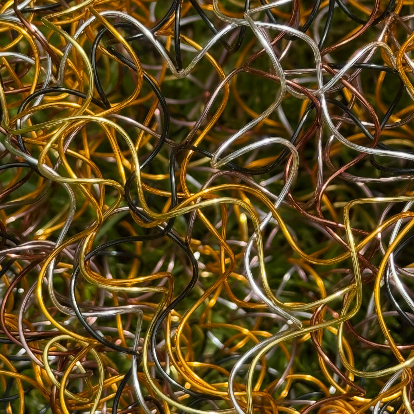 Drahtblüte Allium gold-braun