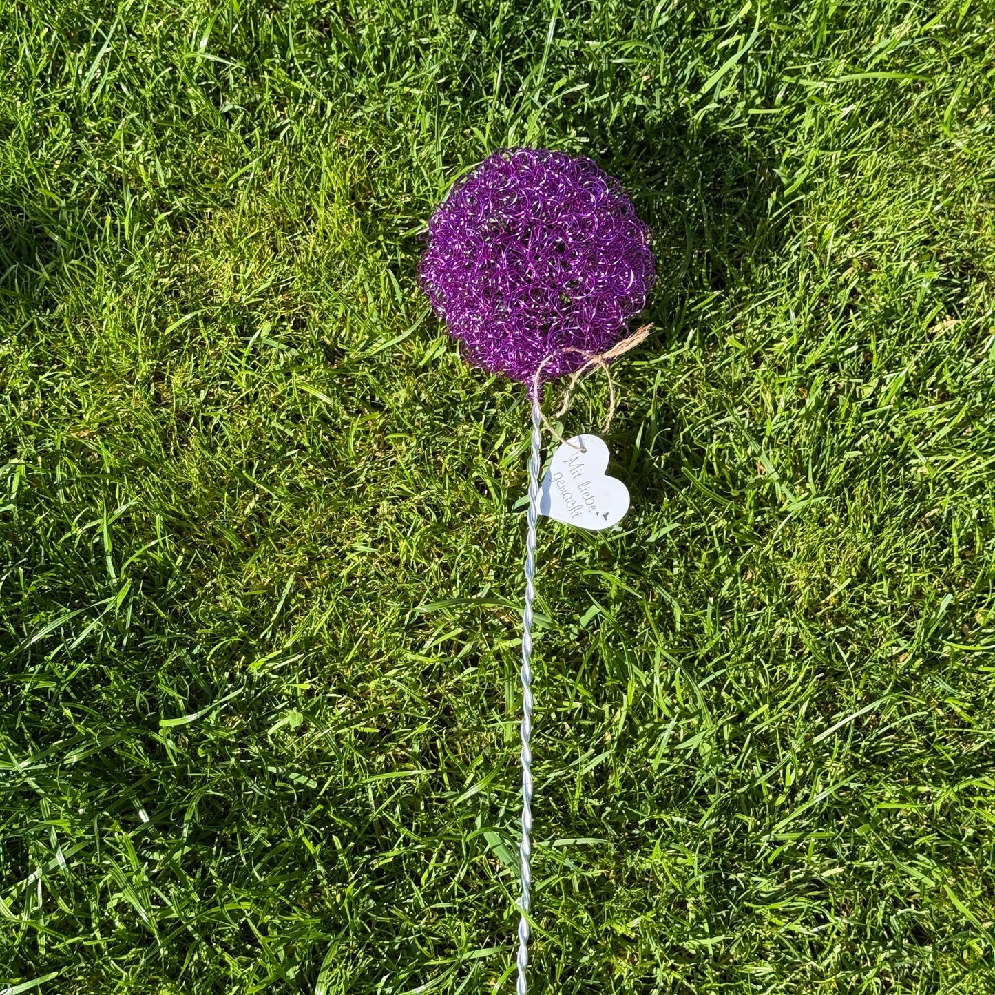 Drahtblüte Allium lila
