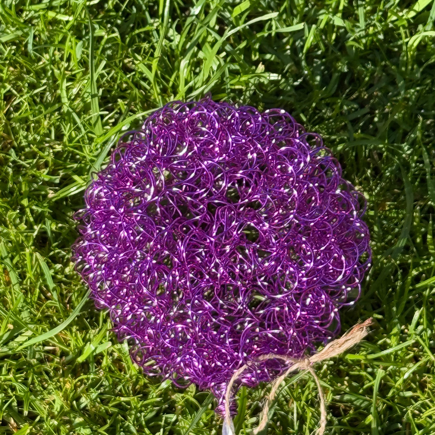 Drahtblüte Allium lila
