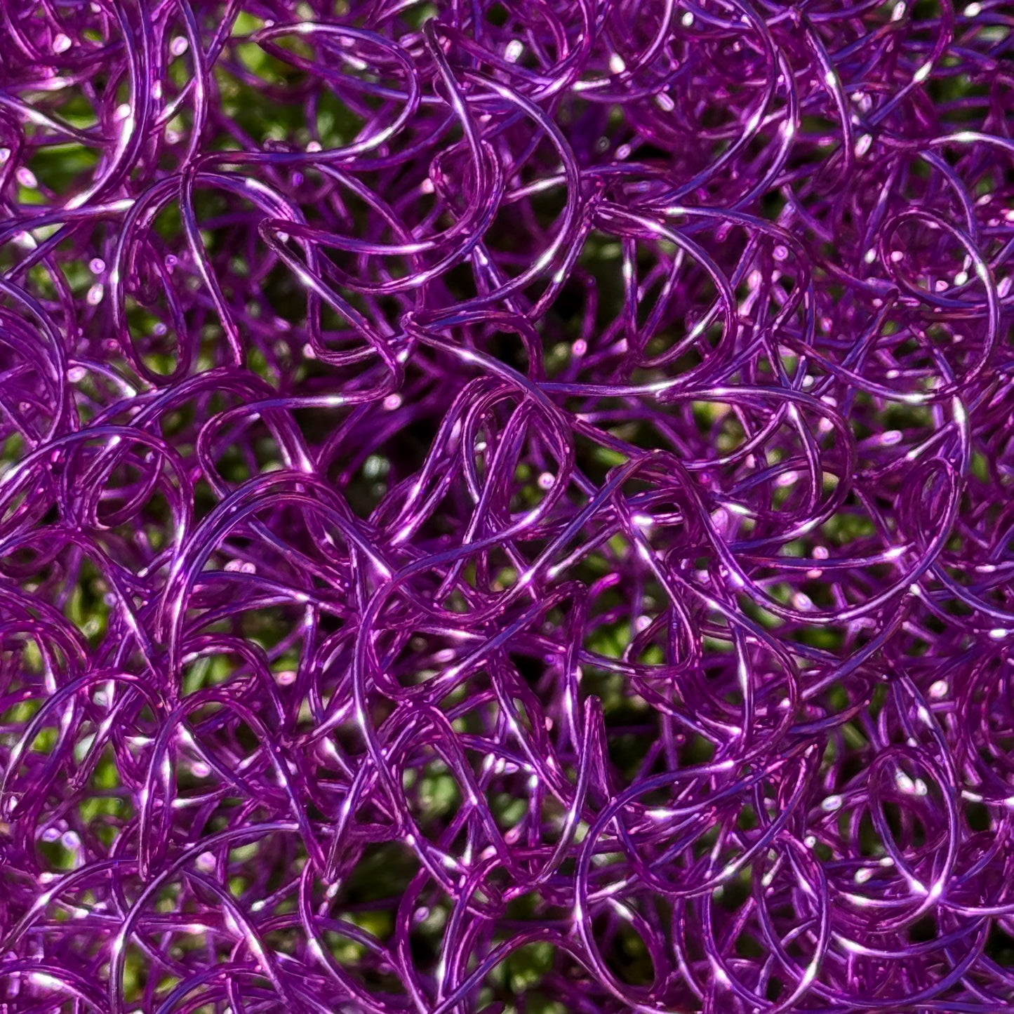 Drahtblüte Allium lila