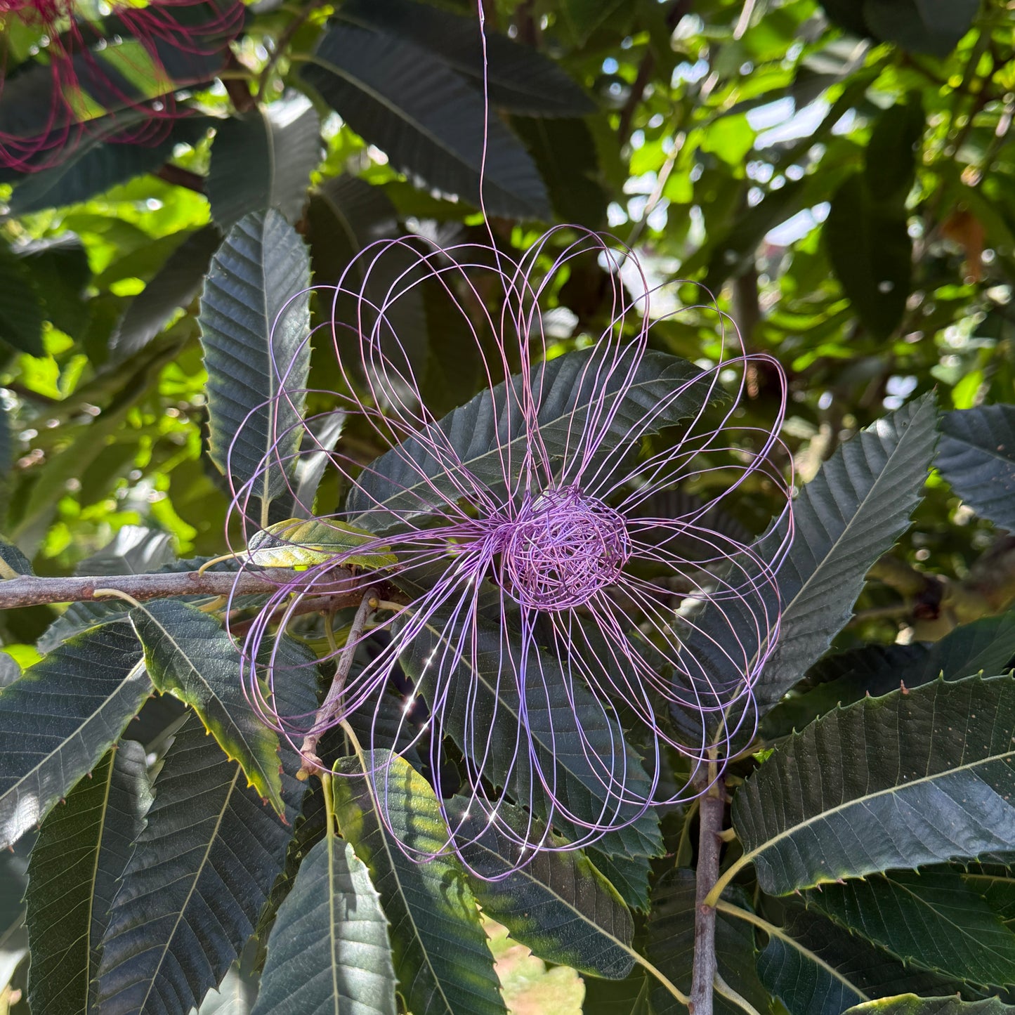 Drahtblüte zum hängen flieder