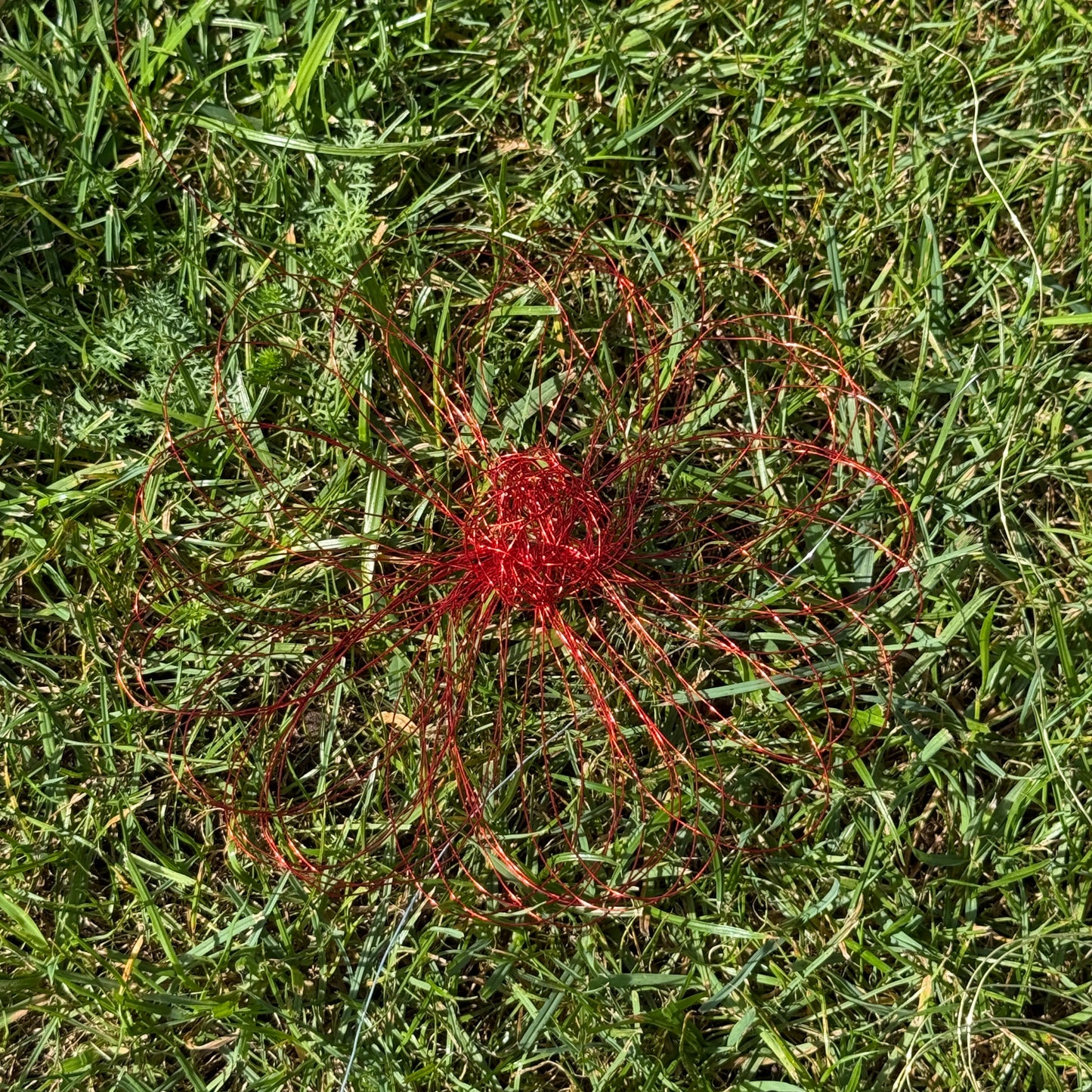 Drahtblüte zum hängen rot