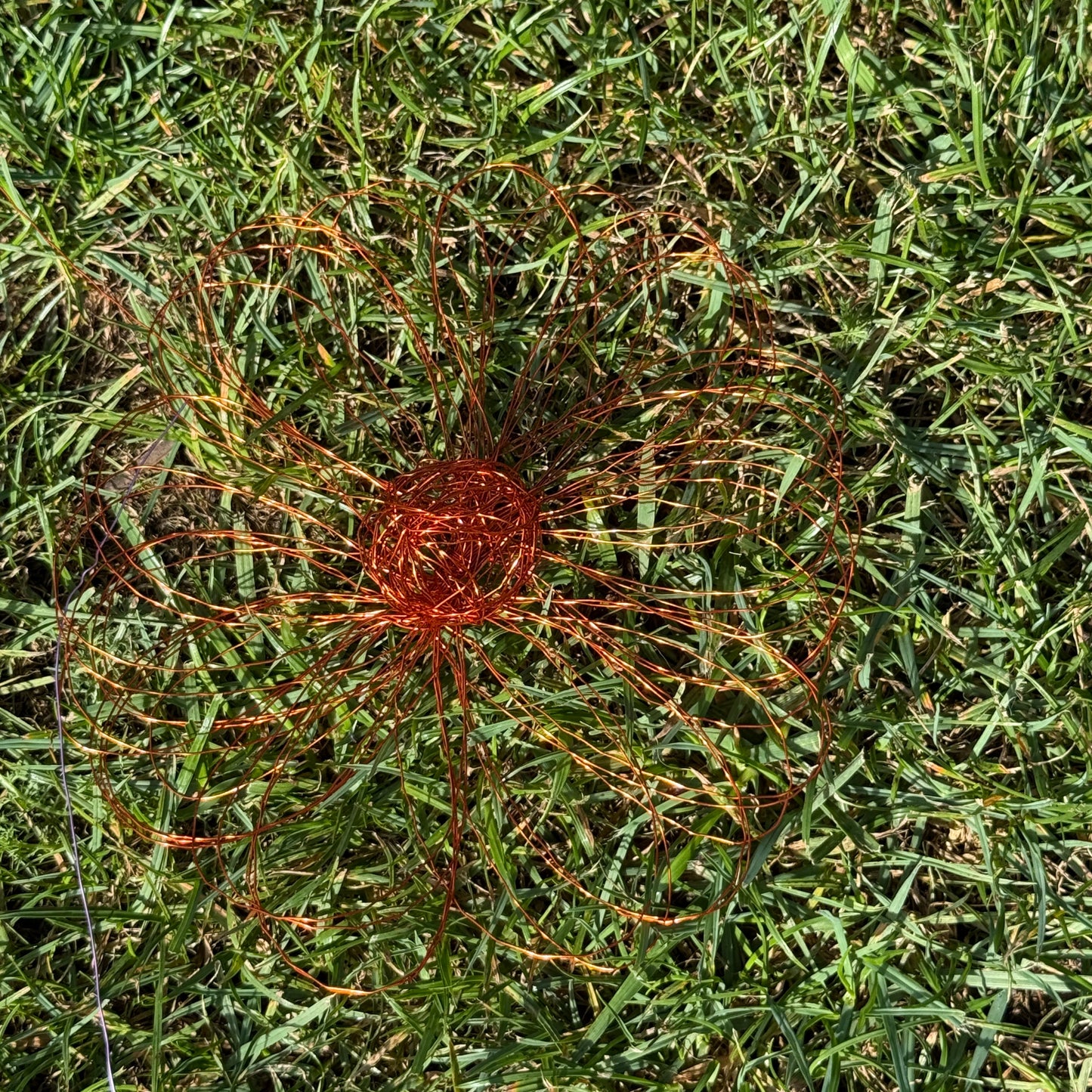 Drahtblüte zum hängen orange