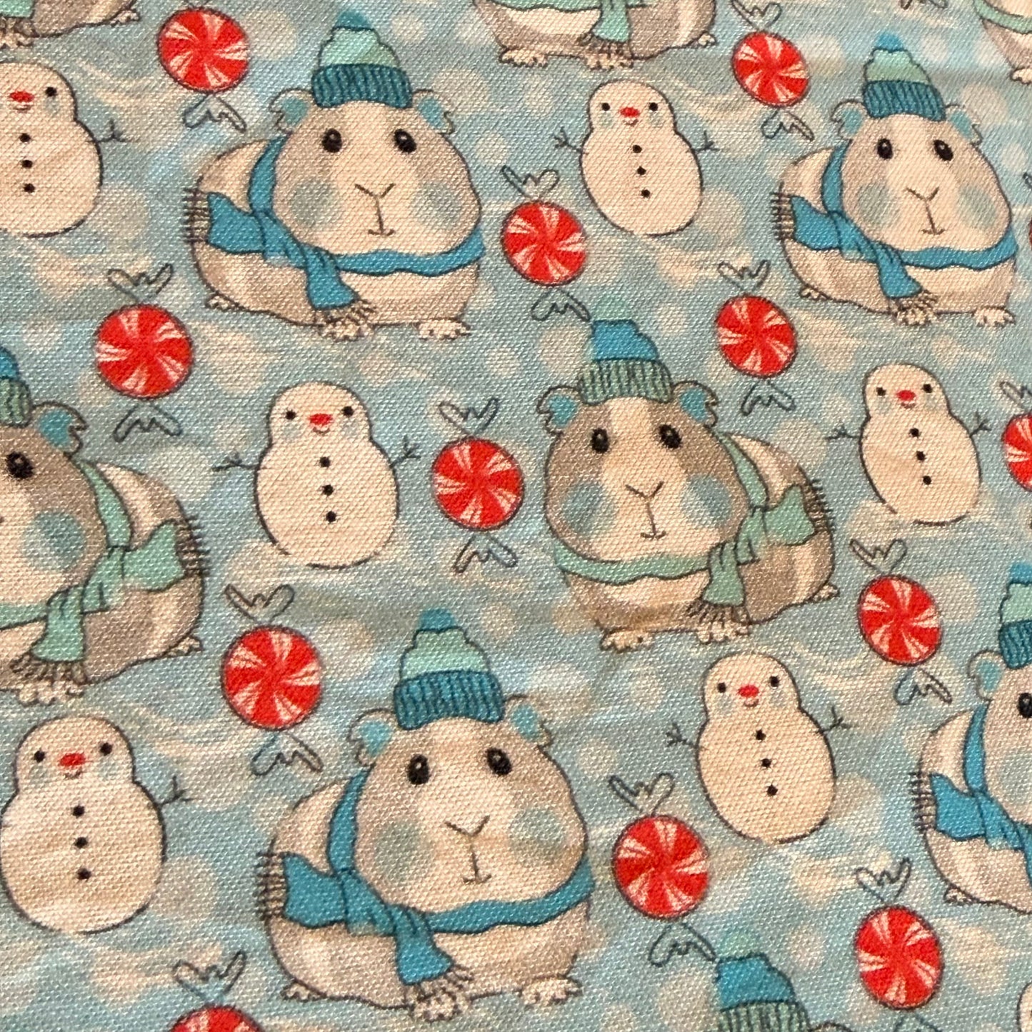 Hängematte Meerschwein Schneemann blau-türkis