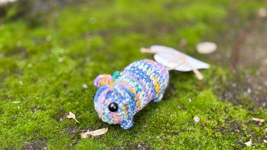 Meerschwein bunt