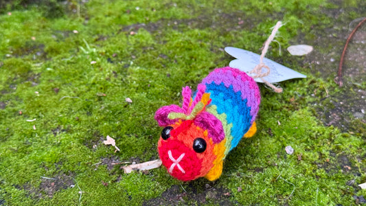 Meerschwein Regenbogen