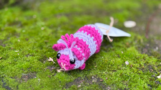 Meerschwein rosa-lila