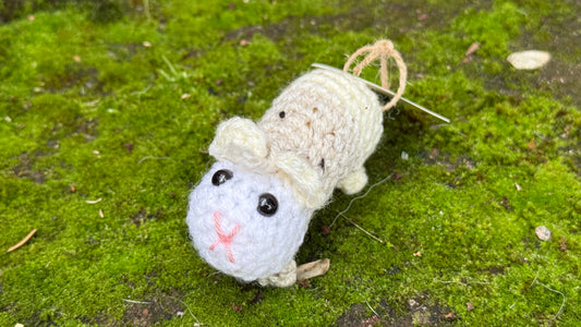 Meerschwein beige-weiß