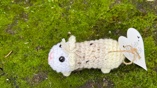 Meerschwein beige-weiß