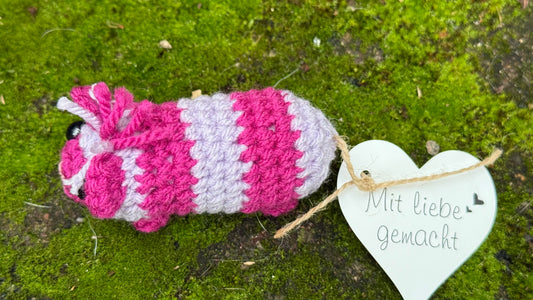 Meerschwein rosa-lila