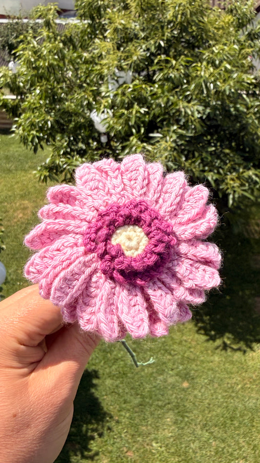 Handgehäkelte Gerbera in Rosa und Pink, handgefertigtes botanisches Unikat von Edeltrud, langlebige Blumendekoration aus Baumwolle.