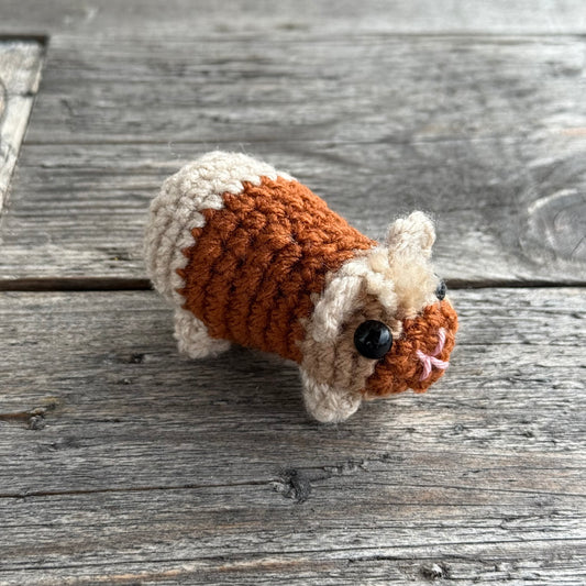 Meerschwein hellbraun-dunkelbraun