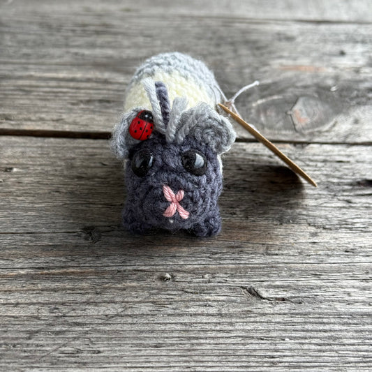 Meerschwein schwarz-grau-weiß