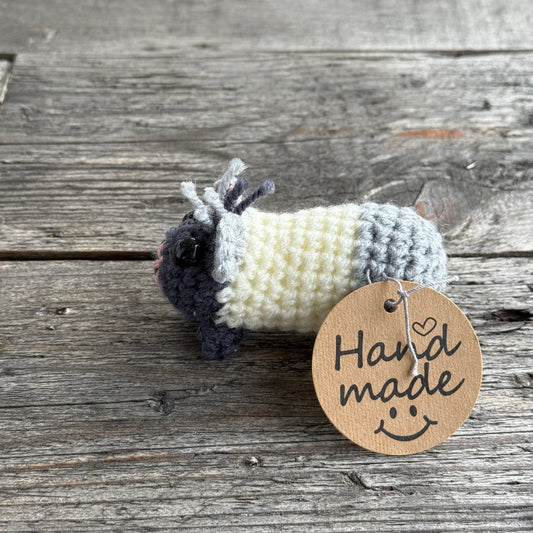 Meerschwein schwarz-grau-weiß