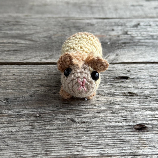 Meerschwein beige-braun