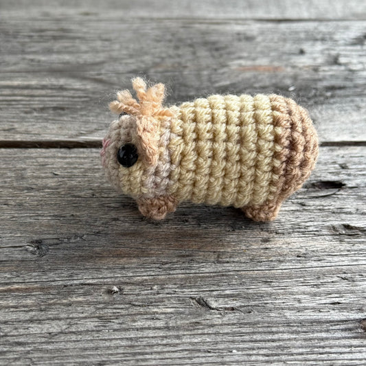 Meerschwein beige-braun