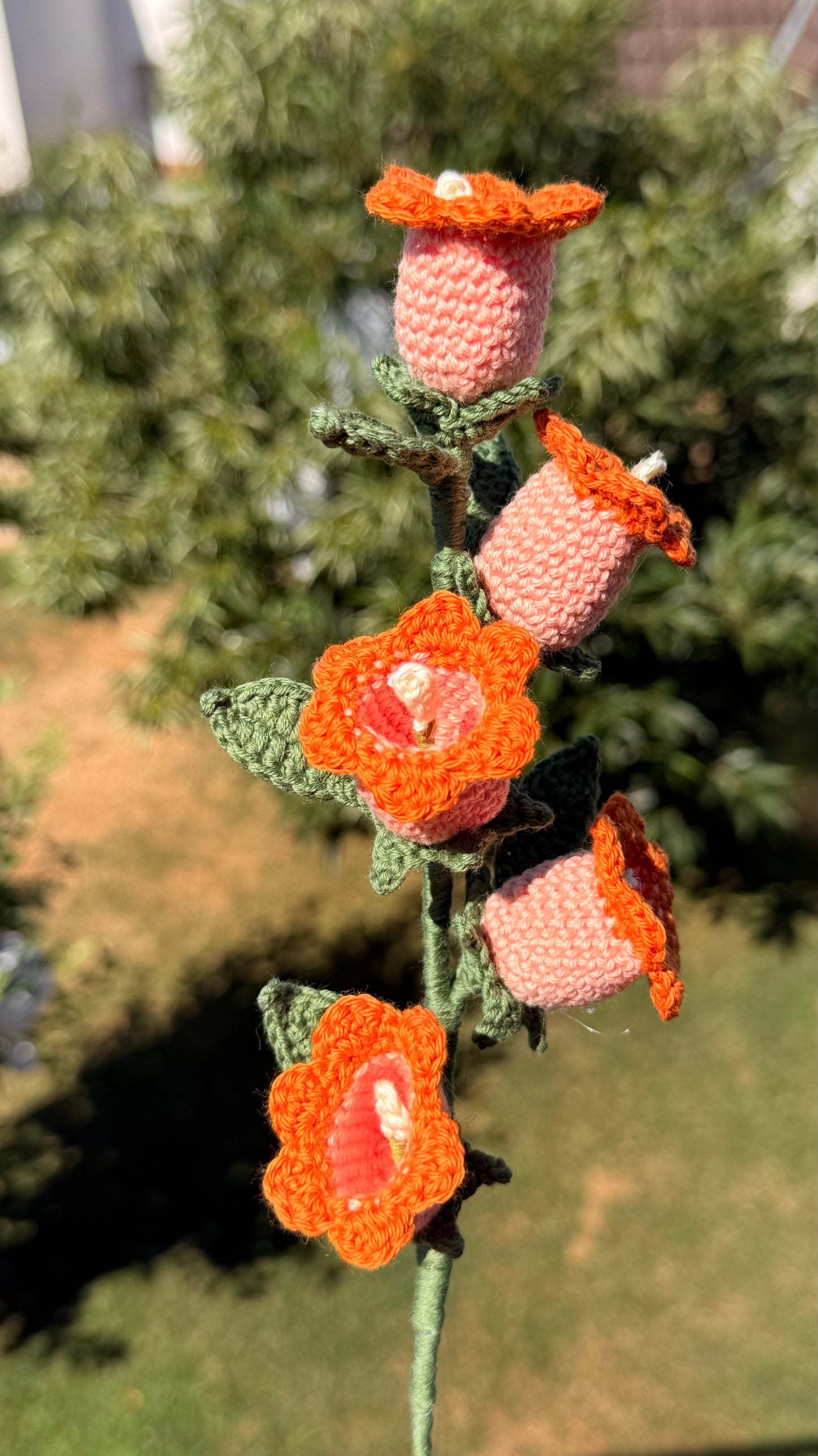 Handgehäkelte Glockenblume mit fünf Blüten, handgefertigtes botanisches Unikat von Edeltrud, langlebige Dekoration aus Baumwolle.