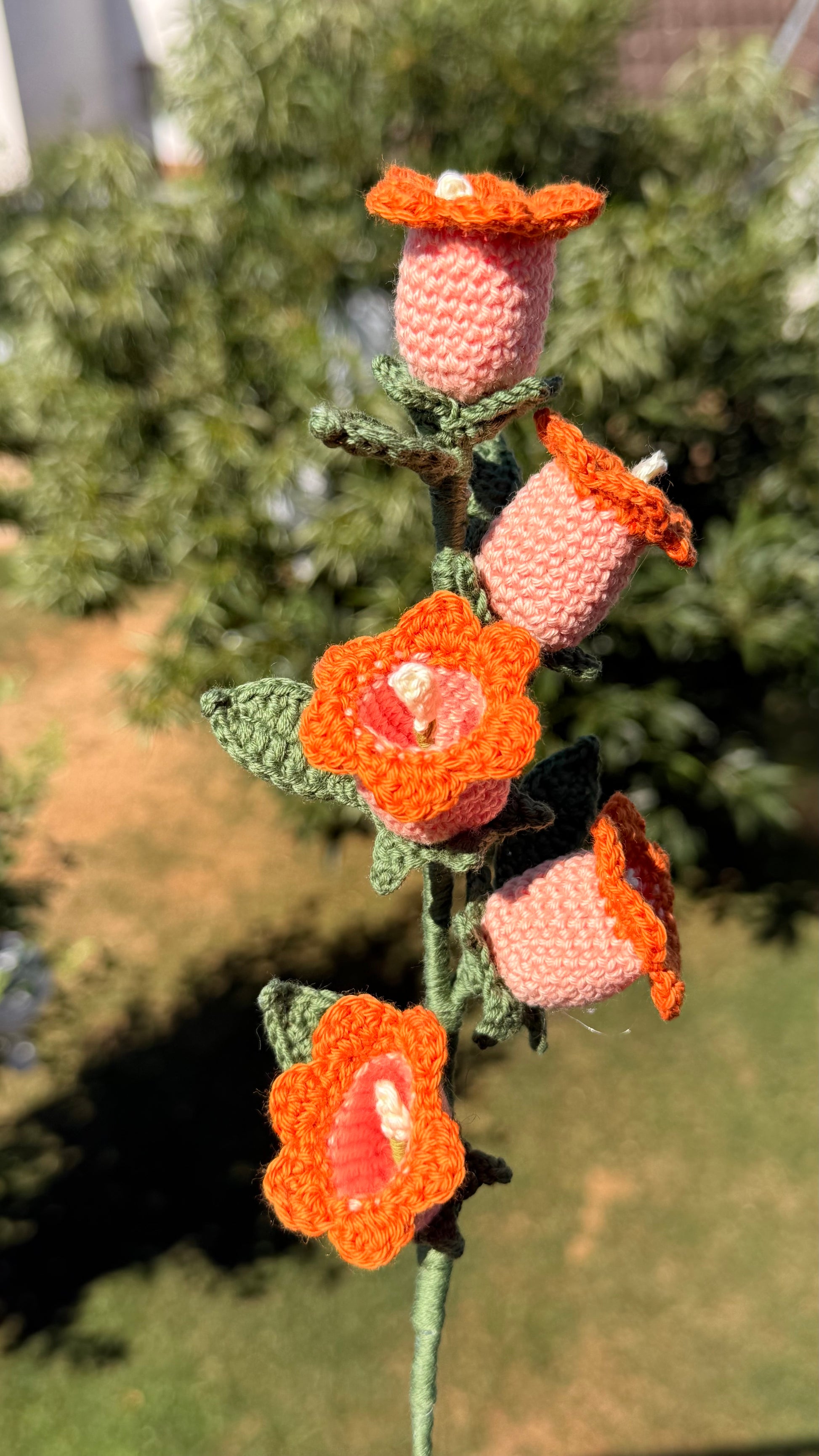 Handgehäkelte Glockenblume mit fünf Blüten, handgefertigtes botanisches Unikat von Edeltrud, langlebige Dekoration aus Baumwolle.