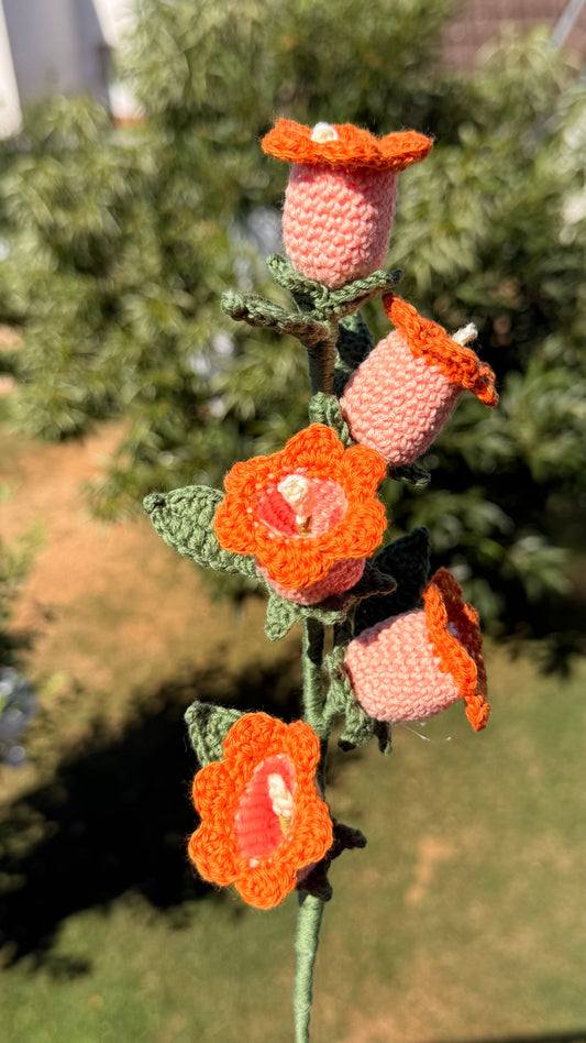 Handgehäkelte Glockenblume mit fünf Blüten, handgefertigtes botanisches Unikat von Edeltrud, langlebige Dekoration aus Baumwolle.