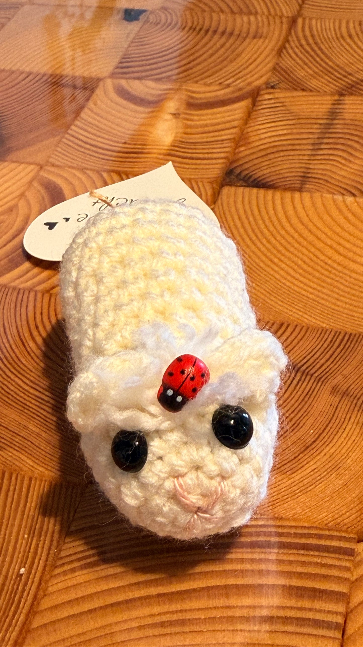 Gehäkeltes Meerschweinchen weiß mit Marienkäfer | Amigurumi Handarbeit