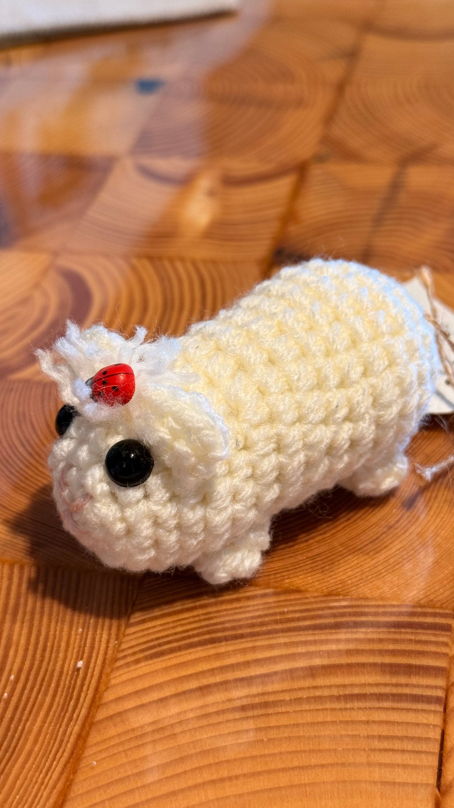 Gehäkeltes Meerschweinchen weiß mit Marienkäfer | Amigurumi Handarbeit