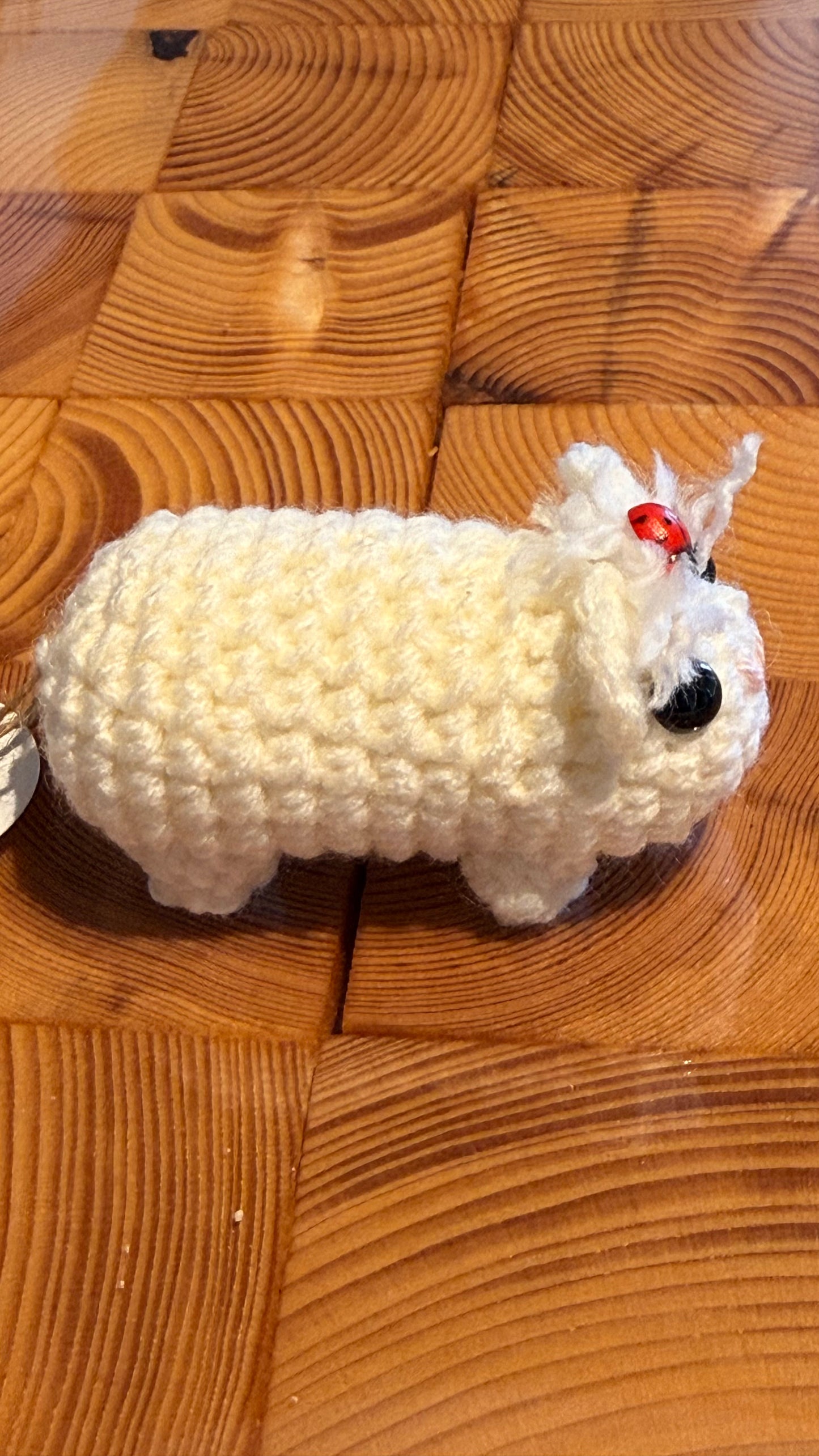 Gehäkeltes Meerschweinchen weiß mit Marienkäfer | Amigurumi Handarbeit