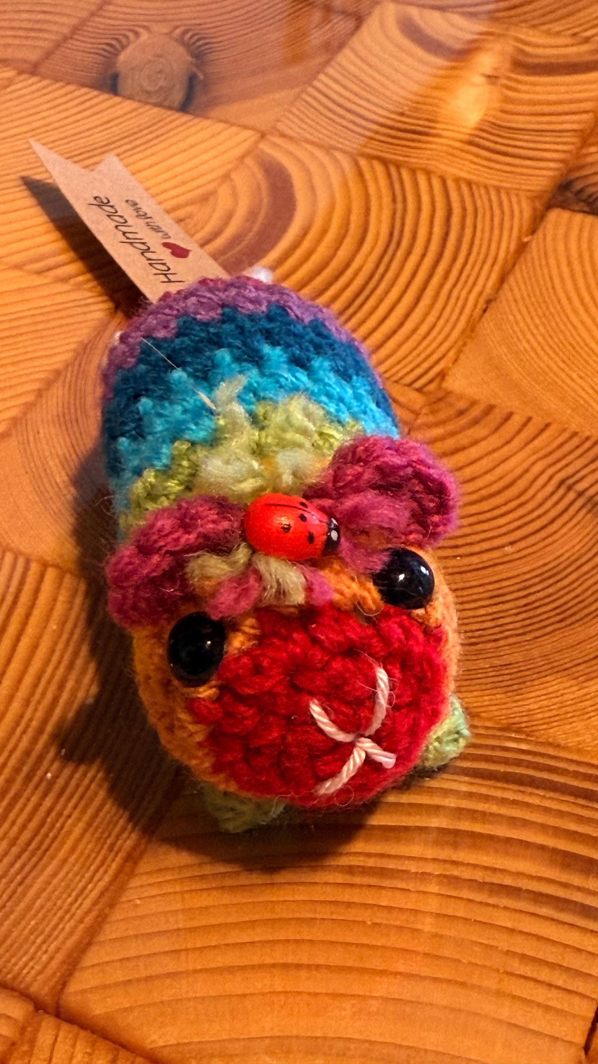 Gehäkeltes Meerschweinchen bunt mit Marienkäfer | Amigurumi Handarbeit