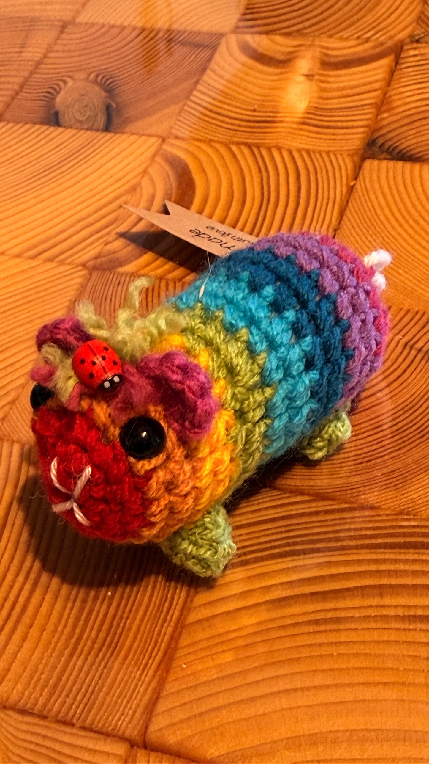 Gehäkeltes Meerschweinchen bunt mit Marienkäfer | Amigurumi Handarbeit