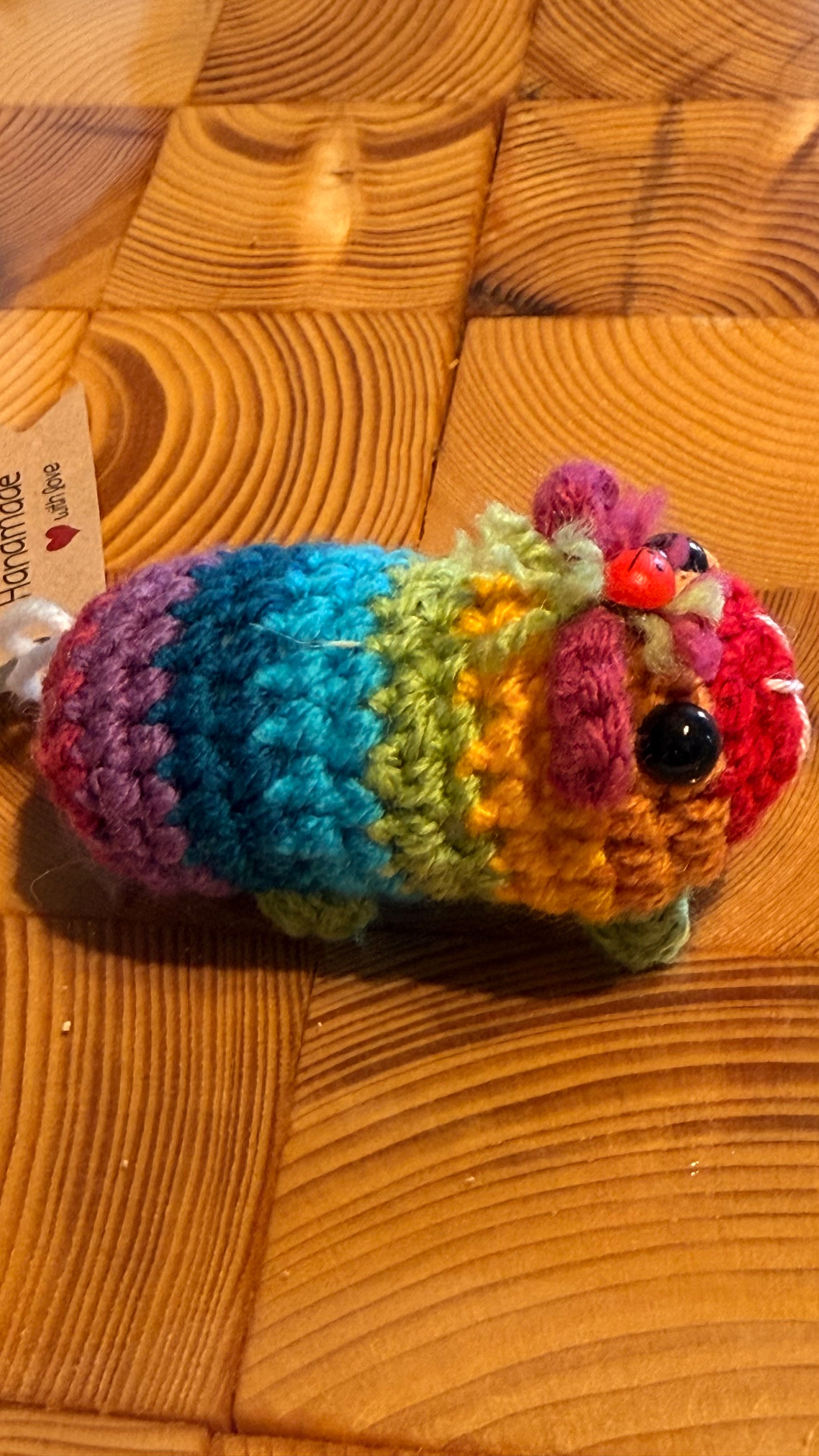 Gehäkeltes Meerschweinchen bunt mit Marienkäfer | Amigurumi Handarbeit