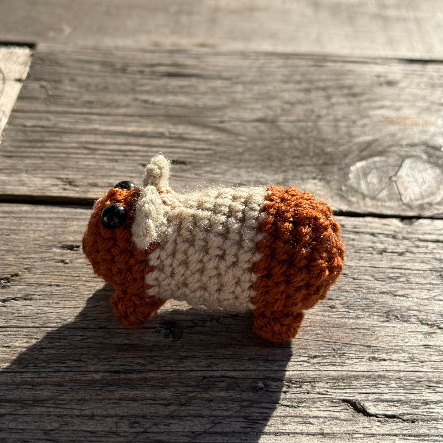 Meerschwein braun-beige