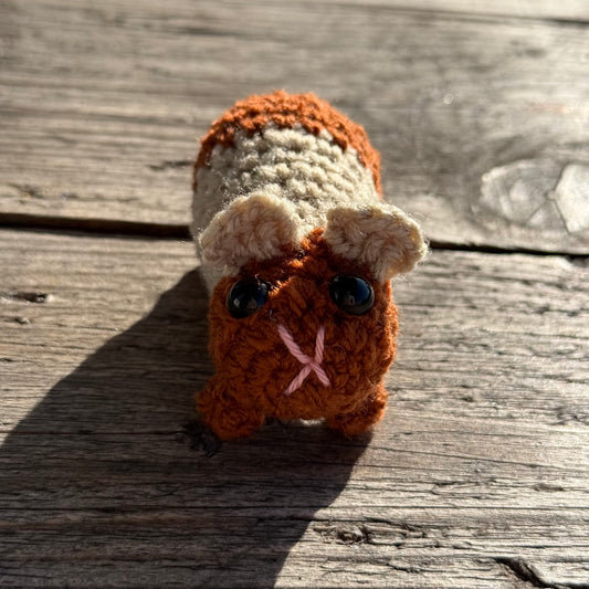 Meerschwein braun-beige
