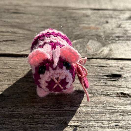 Meerschwein zebra rosa-magenta