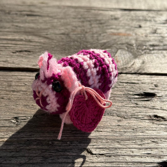 Meerschwein zebra rosa-magenta