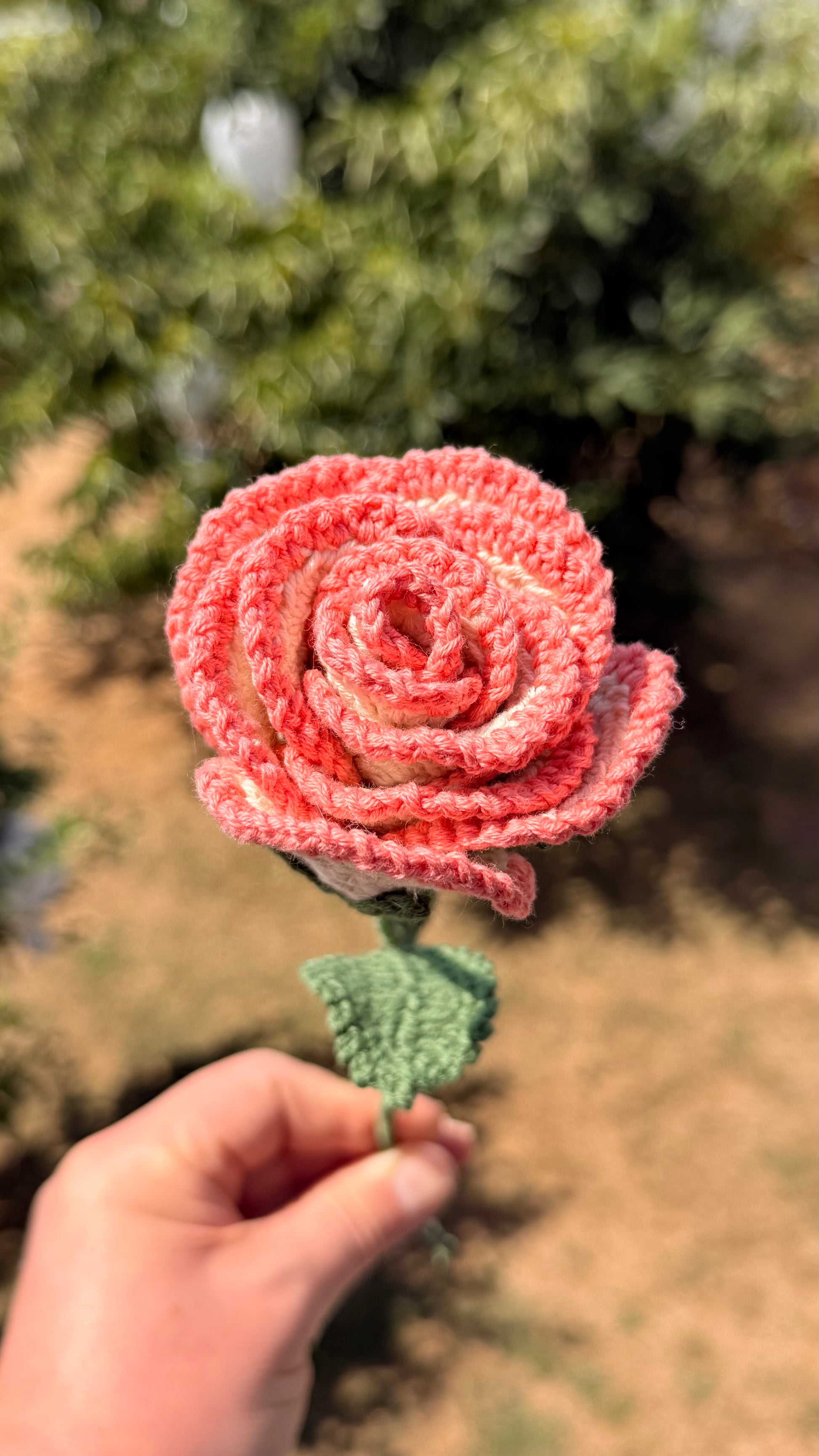Handgehäkelte apricot Rose mit grünen Blättern, handgefertigtes botanisches Unikat von Edeltrud, langlebige Dekoration aus Baumwolle.