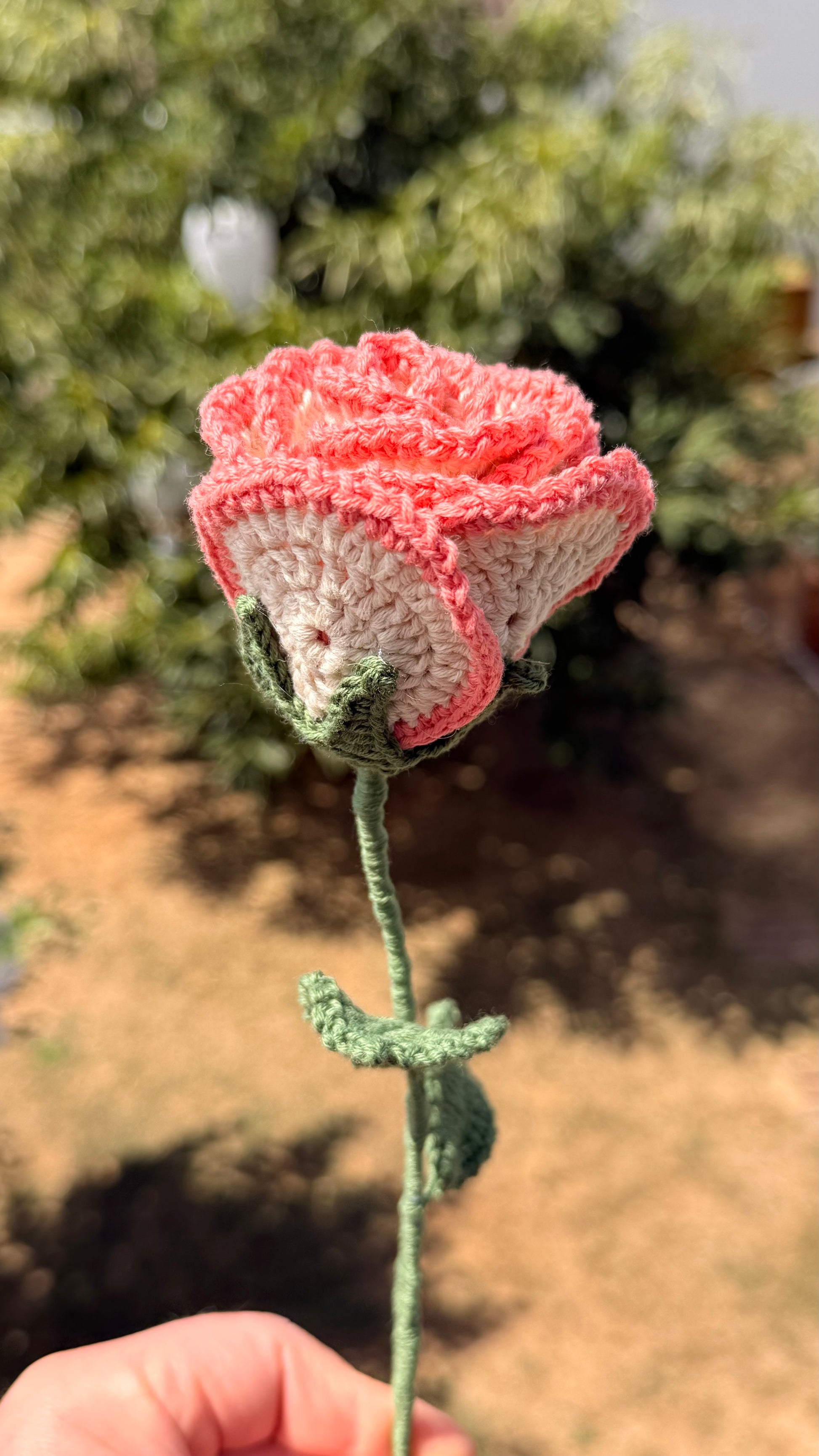 Handgehäkelte apricot Rose mit grünen Blättern, handgefertigtes botanisches Unikat von Edeltrud, langlebige Dekoration aus Baumwolle.