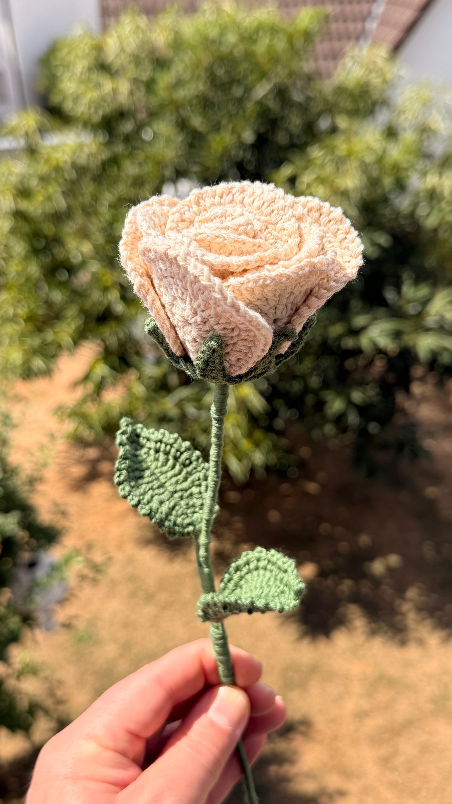 Handgehäkelte beige Rose mit grünen Blättern, handgefertigtes botanisches Unikat von Edeltrud, langlebige Dekoration aus Baumwolle.