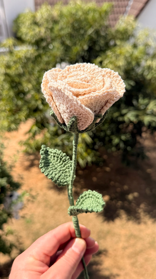 Handgehäkelte beige Rose mit grünen Blättern, handgefertigtes botanisches Unikat von Edeltrud, langlebige Dekoration aus Baumwolle.