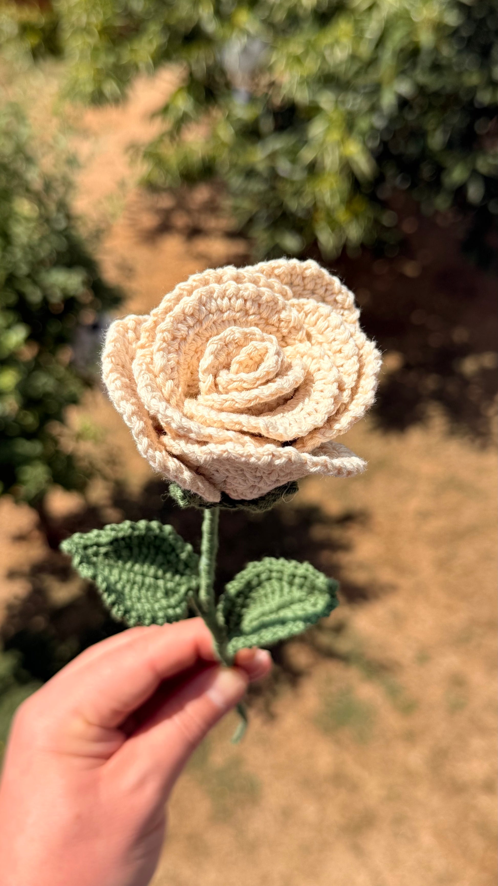 Handgehäkelte beige Rose mit grünen Blättern, handgefertigtes botanisches Unikat von Edeltrud, langlebige Dekoration aus Baumwolle.