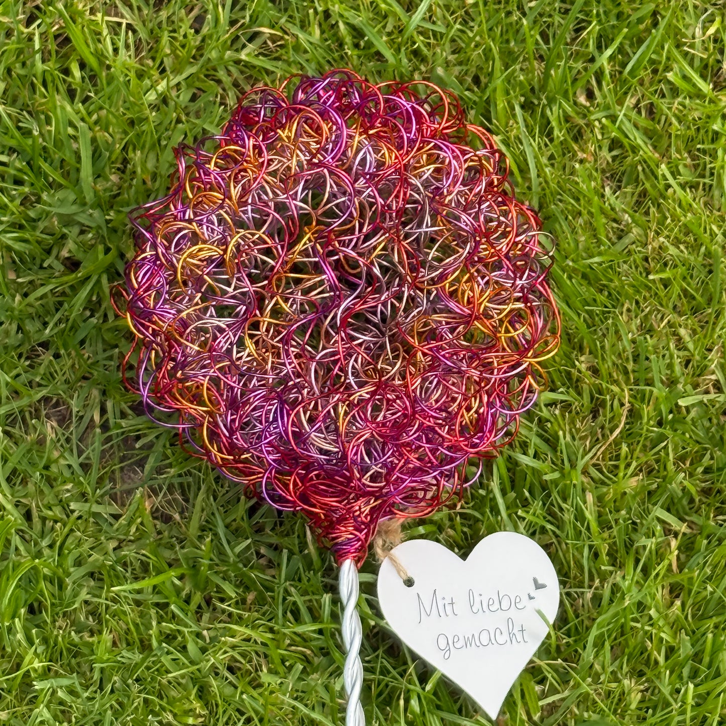 Drahtblüte Allium pink-orange-rosa