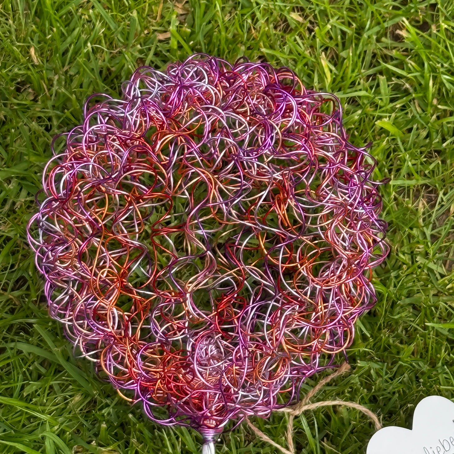 Drahtblüte Allium pink-rosa