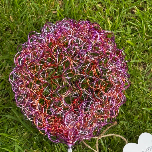 Drahtblüte Allium pink-rosa
